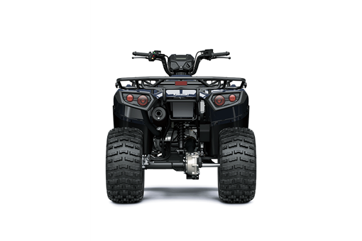 2026 BRUTE FORCE 300