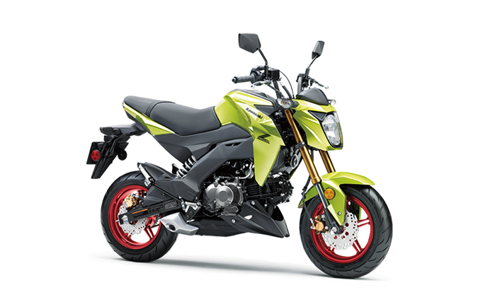 Vert Jaunâtre Métallisé