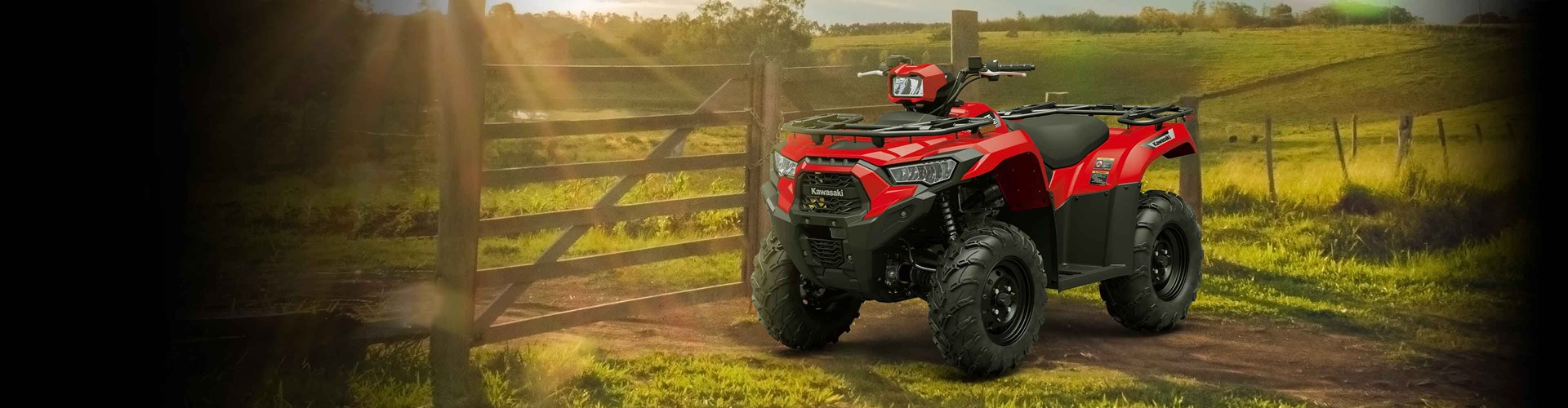 2025 Kawasaki Brute Force® 450 4x4-Grayish