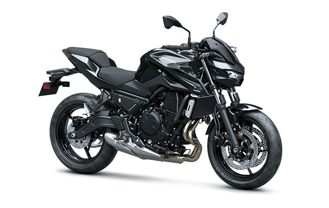 Ebony / Metallic Carbon Gray