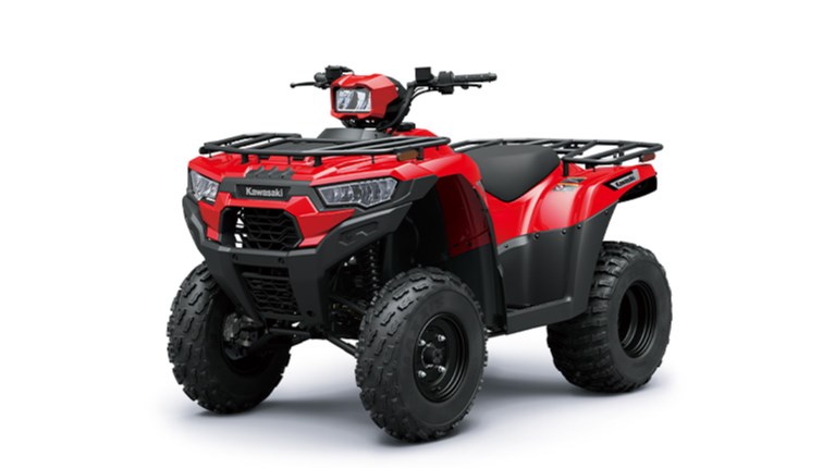 BRUTE FORCE 300
