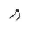 KQR PASSENGER BACKREST photo thumbnail 1