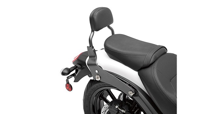 KQR PASSENGER BACKREST detail photo 2
