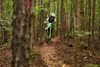 2024 KX450X