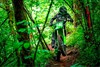 2025 KX250X