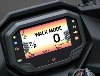 Walk Mode Image