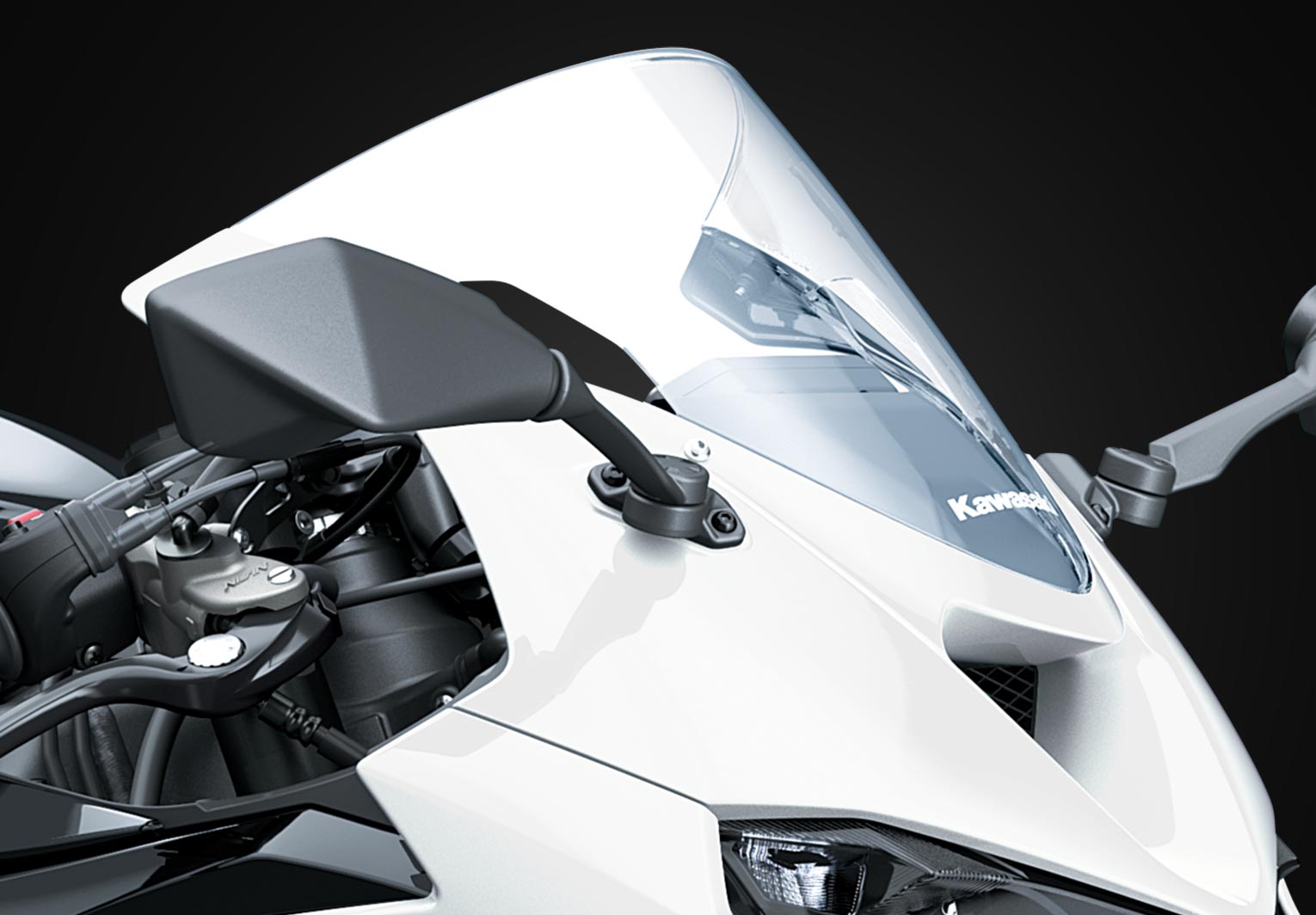 mooii。 ZX636 sitting pretty 🍃💚 . . . . . #zx6r #zx636 #zx636r