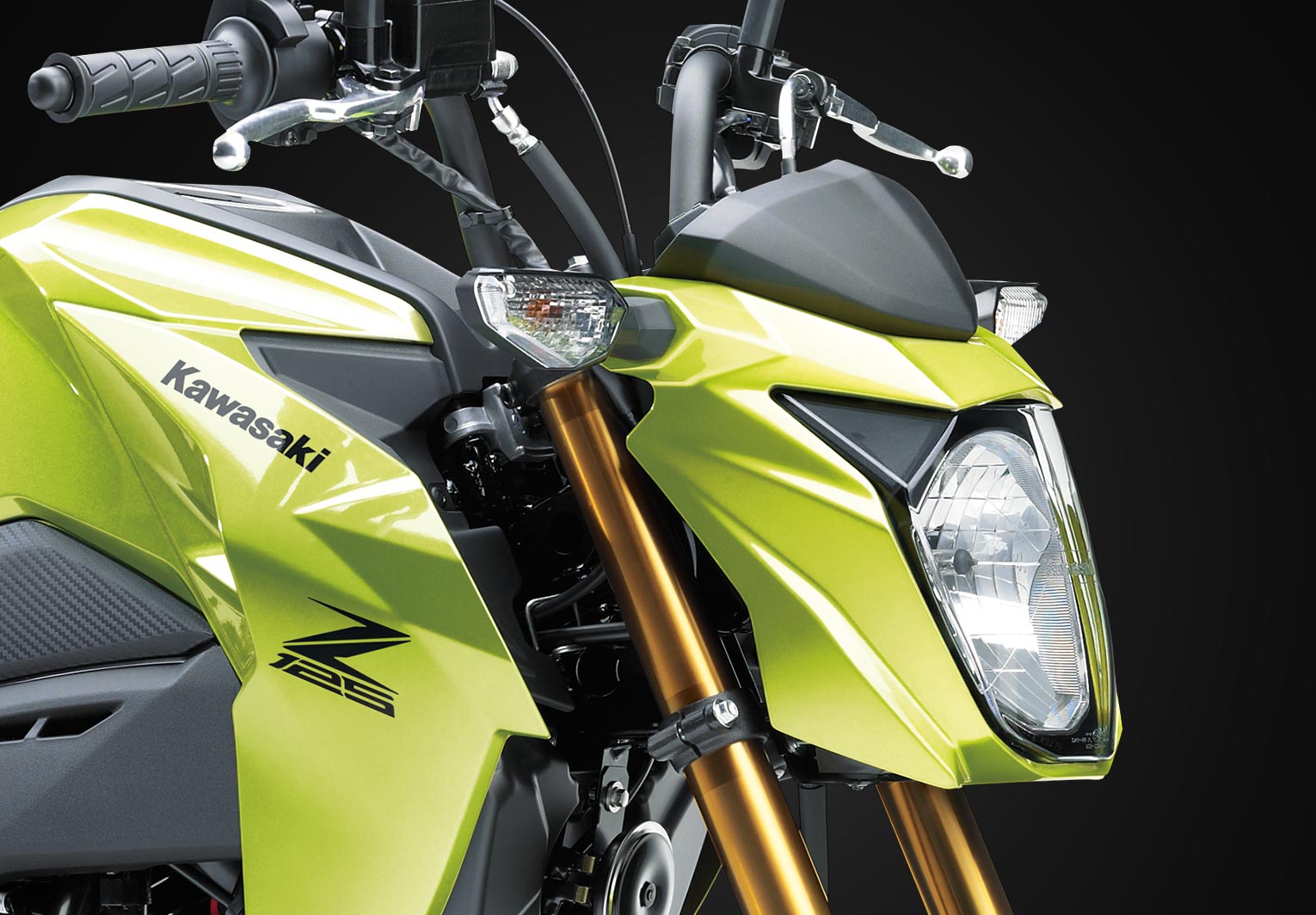 Kawasaki Z125 PRO | Naked Motorcycle | Nimble & Fun