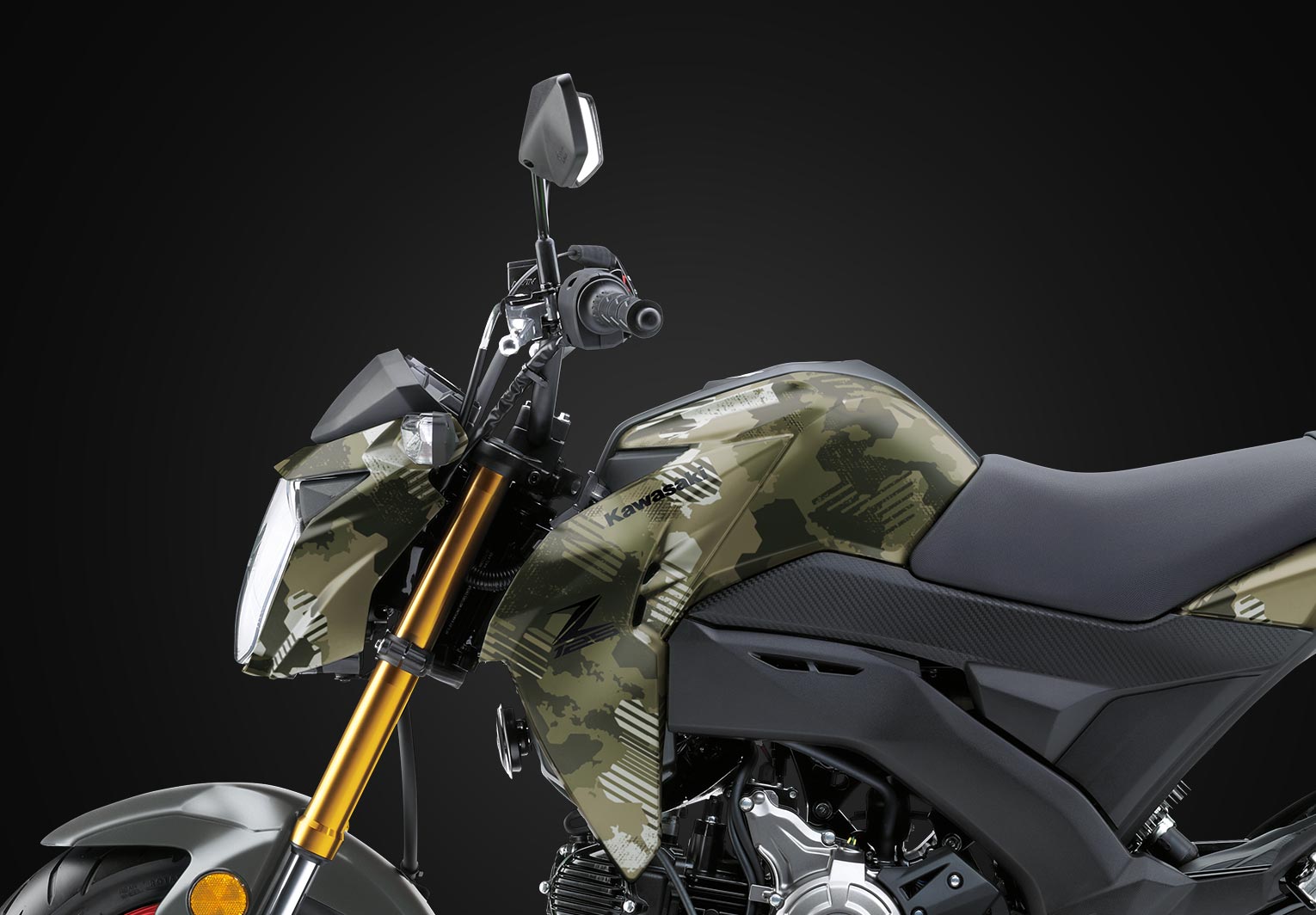 Kawasaki Z125 PRO | Naked Motorcycle | Nimble & Fun