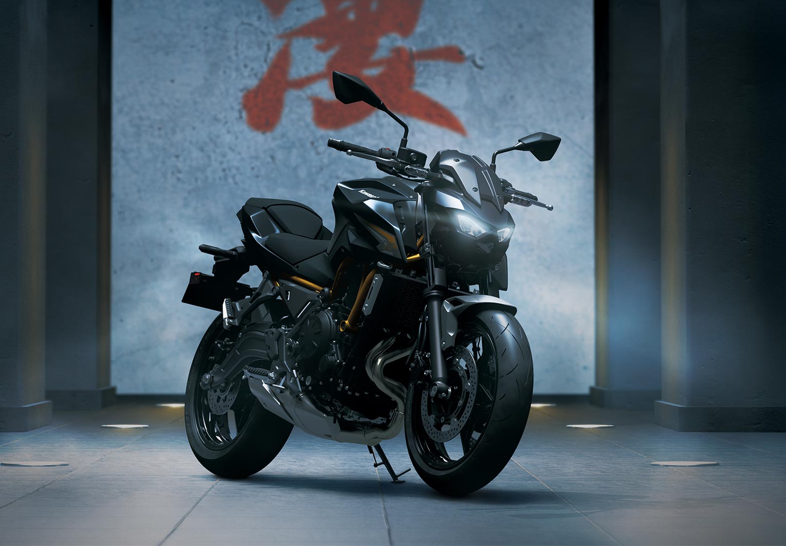 Kawasaki Z650 S ABS | Naked Motorcycle | Sugomi™ Muscle
