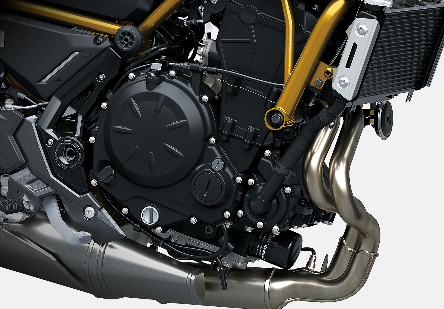 Kawasaki Z650 S ABS | Naked Motorcycle | Sugomi™ Muscle