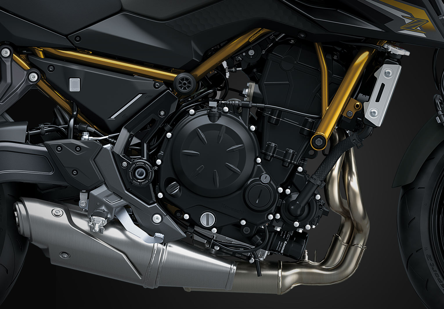 Kawasaki Z650 S ABS | Naked Motorcycle | Sugomi™ Muscle