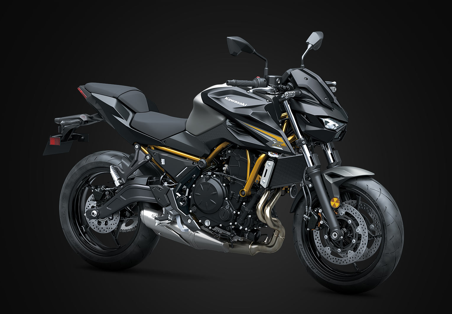 Kawasaki Z650 S ABS | Naked Motorcycle | Sugomi™ Muscle