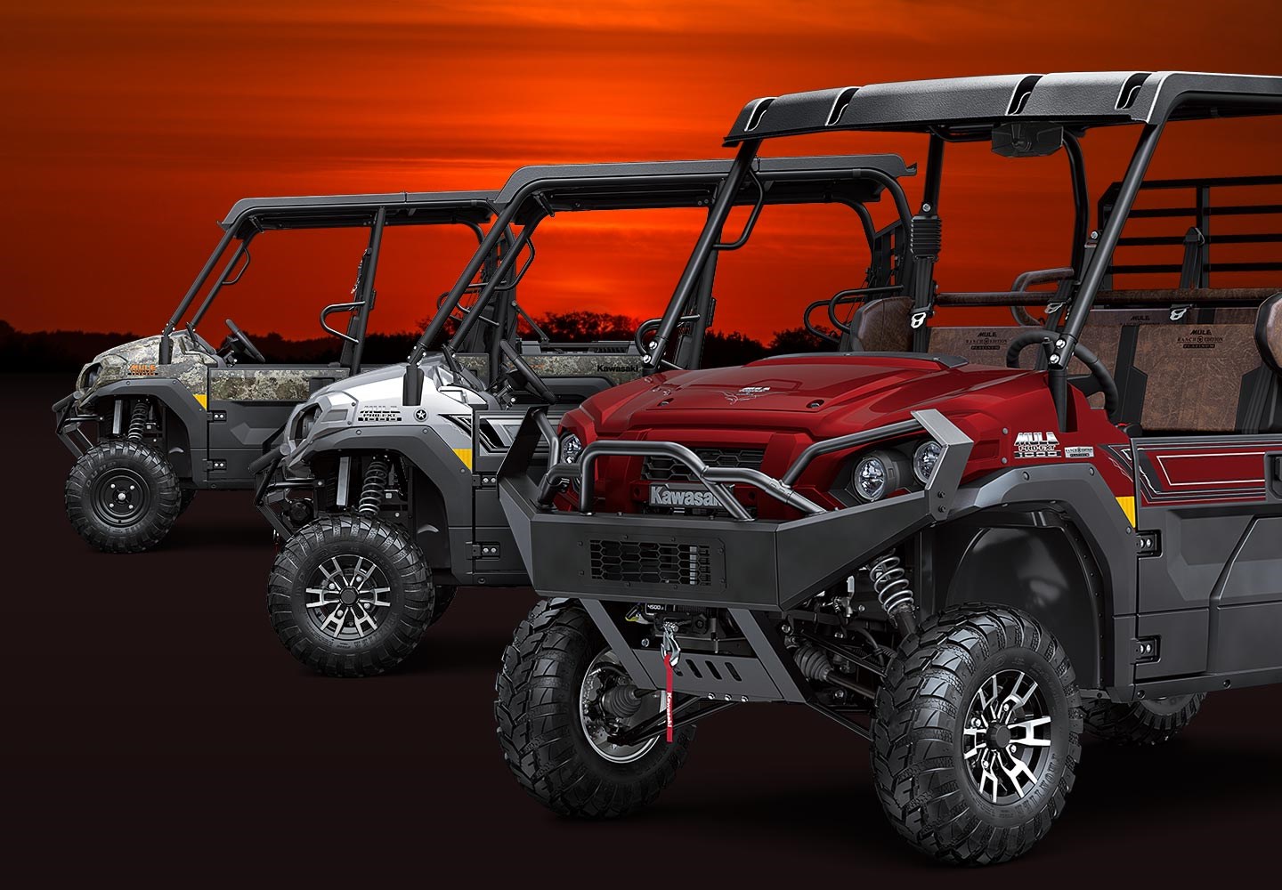 MODEL EDITIONS
