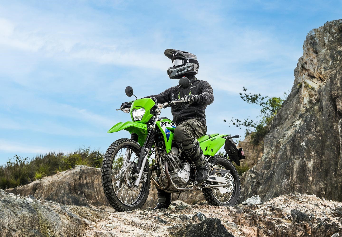 KLX®230 S