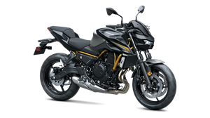 Z650 3/4 mobile navigation product view