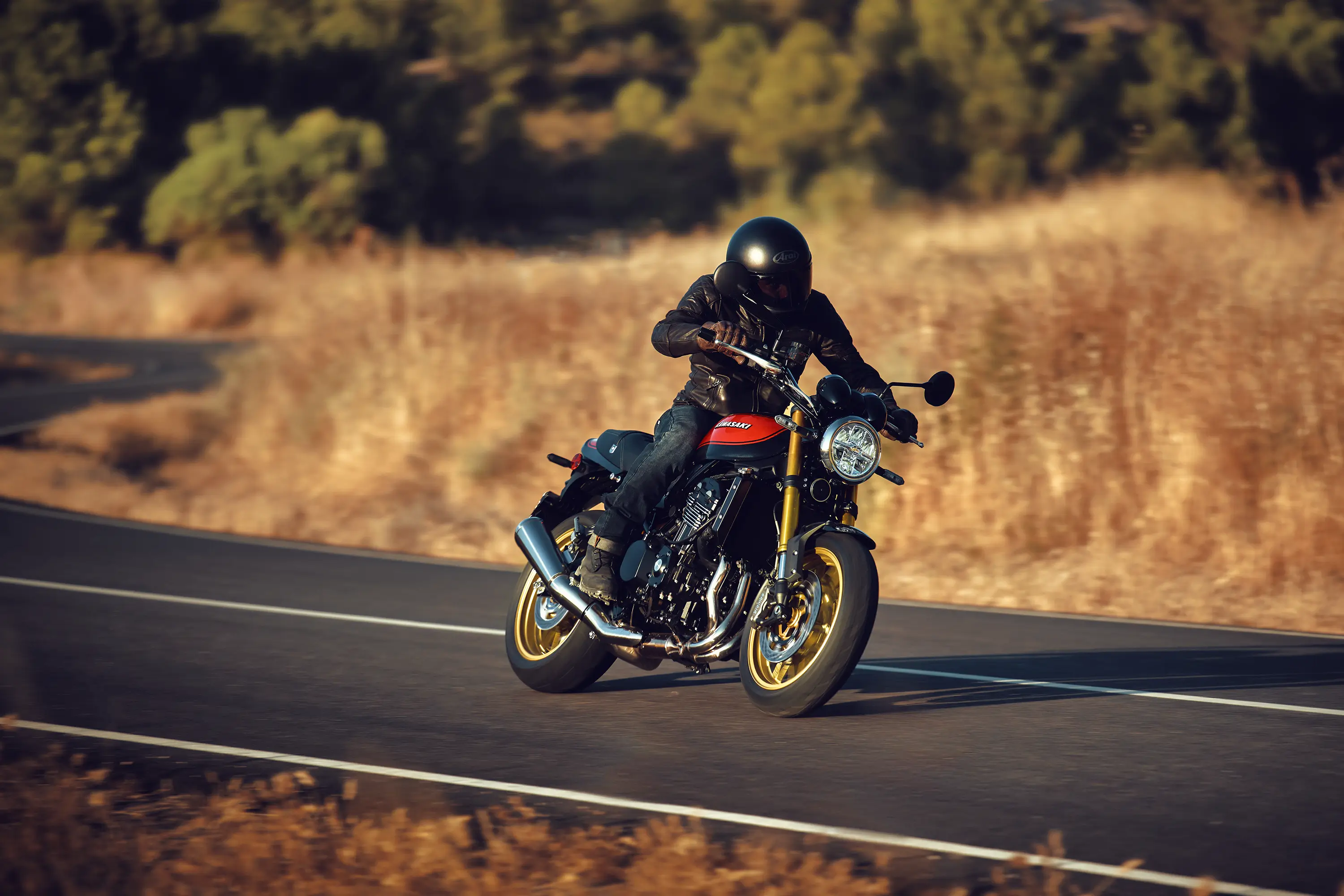 Profile view of a person riding a motorcycle on a road.