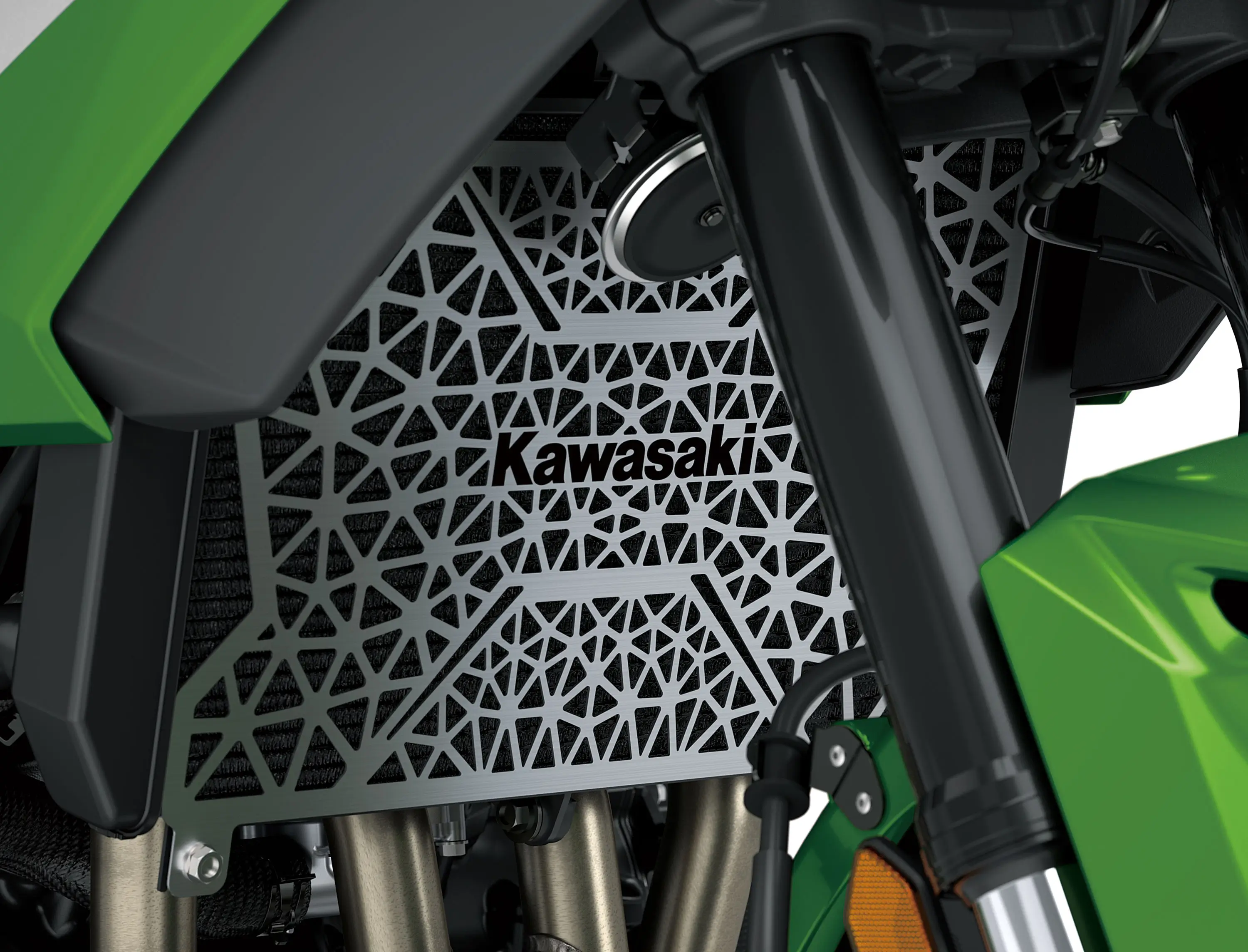 Kawasaki shield of a motorcycle staged in a white studio background.