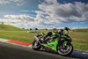 Profile angle of a person on a motorcycle turning on a track.