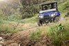 Front angle of a person and passenger driving a side x side off-road.