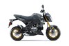 Profile angle of a motorcycle staged in a white studio background.