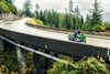 2024 NINJA® ZX™-14R 40th ANNIVERSARY EDITION ABS 