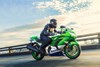 2024 NINJA® ZX™-14R 40th ANNIVERSARY EDITION ABS 