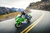 2024 NINJA® ZX™-14R 40th ANNIVERSARY EDITION ABS 