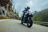 Front angle of a person riding a motorcycle on a street.