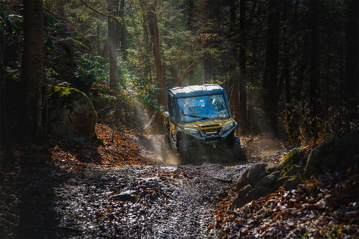 Front angle of a person riding a side x side through woods.