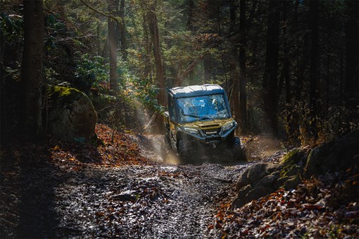 Front angle of a person riding a side x side through woods. opens in a new window