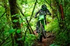 2025 KX™250X