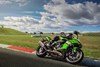 2025 NINJA® ZX™-6R KRT EDITION