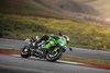 2025 NINJA® ZX™-6R KRT EDITION