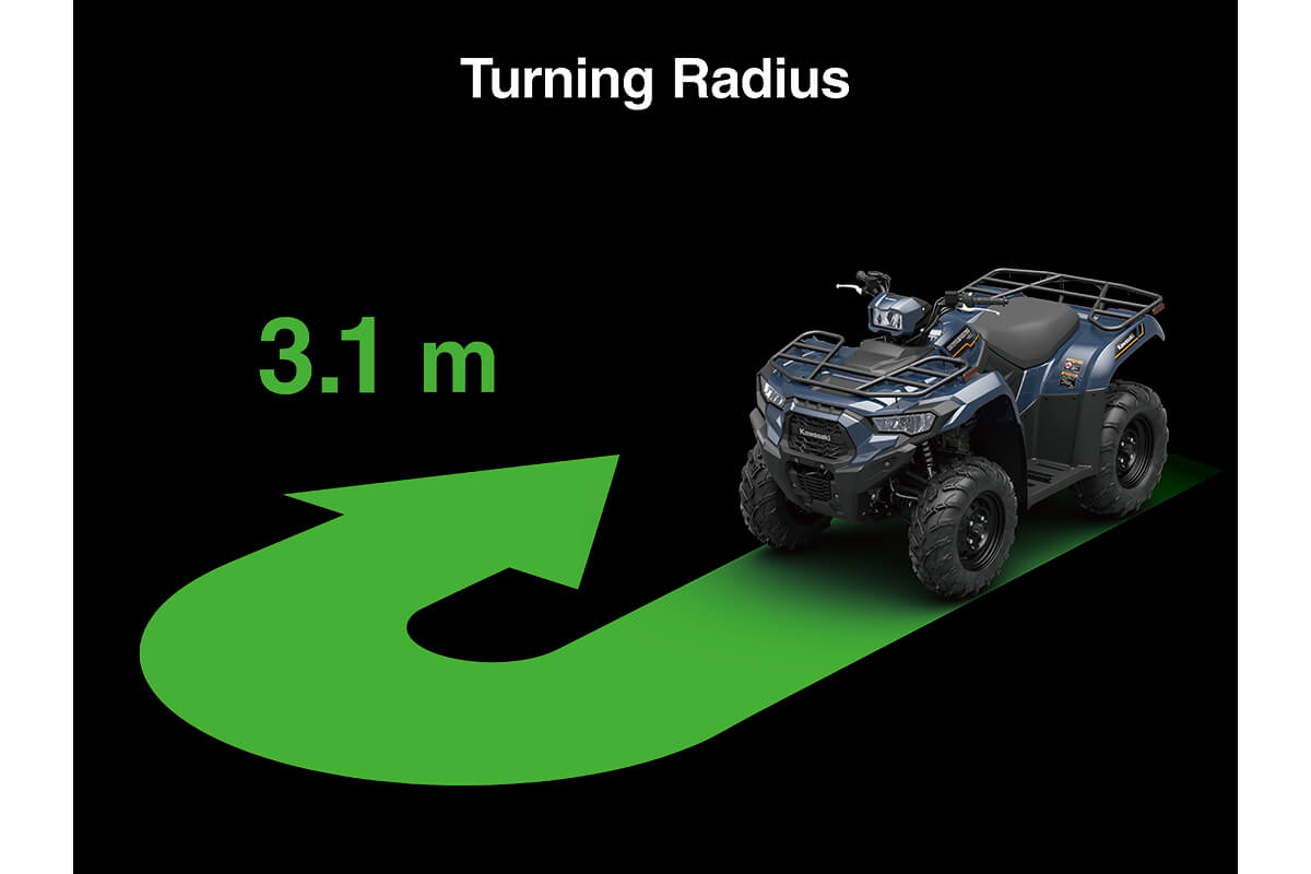 2025 BRUTE FORCE® 450 4x4