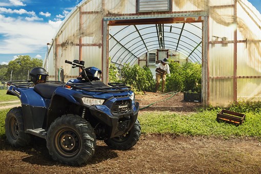 2025 BRUTE FORCE® 450 4x4 opens in a new window