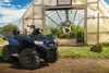 2025 BRUTE FORCE® 450 4x4