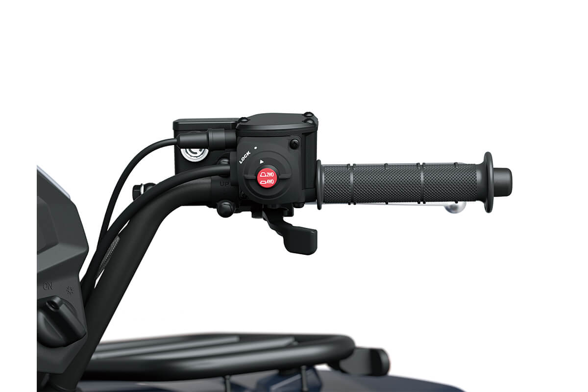 2025 BRUTE FORCE® 450 4x4