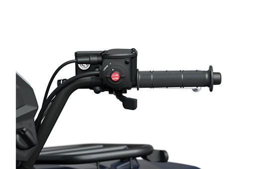 2025 BRUTE FORCE® 450 4x4 opens in a new window