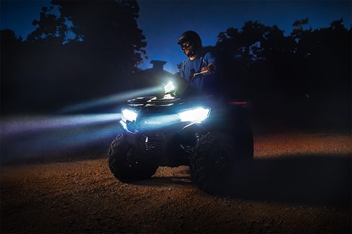 2025 BRUTE FORCE® 450 4x4 opens in a new window