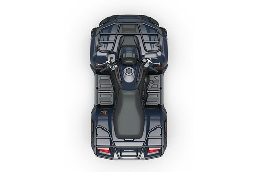 2025 BRUTE FORCE® 450 4x4 opens in a new window