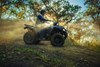 2025 BRUTE FORCE® 450 4x4