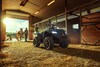 2025 BRUTE FORCE® 450 4x4