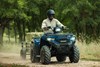 2025 BRUTE FORCE® 450 4x4