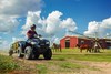 2025 BRUTE FORCE® 450 4x4