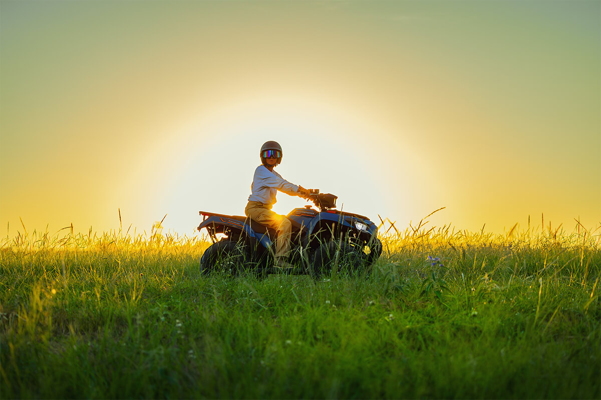 2025 BRUTE FORCE® 450 4x4