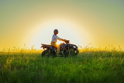 2025 BRUTE FORCE® 450 4x4 opens in a new window