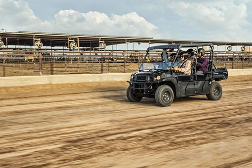 2025 MULE PRO-DXT™ EPS opens in a new window