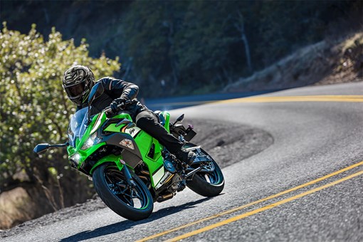 2025 NINJA® 500 KRT EDITION opens in a new window