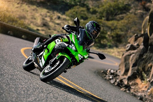 2025 NINJA® 500 SE KRT EDITION ABS opens in a new window